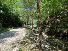 -十渡东湖港风景区