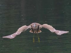 -重庆彩云湖湿地公园