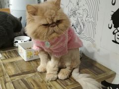 -小时光咖啡馆(开森度假森林店)