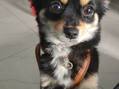 -蜜雪冰城(建设路店)