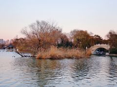 -济南大明湖景区
