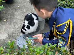 -龙华素斋(龙华路店)