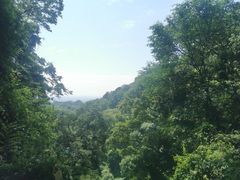-青城山
