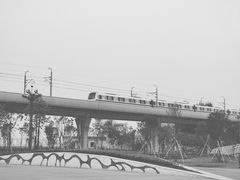 -宝安西湾红树林湿地公园