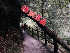 -西岭雪山大飞水景区