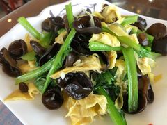-东来菜馆•手抓海鲜家常菜•海鲜锅贴(鸽子窝店)