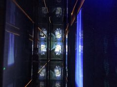 -新盈光·心院(嘉恒广场店)