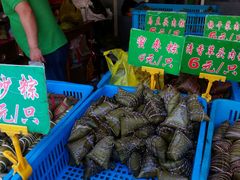 -召稼楼永茂昌粽子大王