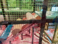 -MELAND CLUB亲子乐园·派对·餐厅(北京芳圆里ID MALL店)