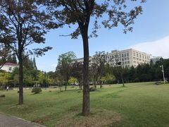 -上海财经大学(国定路校区)