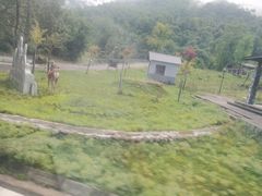 -土司宴