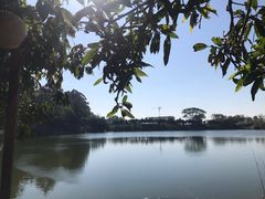 -火炉山森林公园