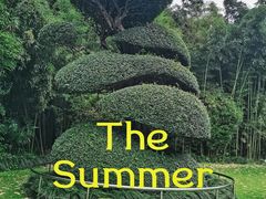 -苏州河梦清园环保主题公园