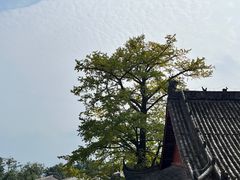 -金堂县云顶石城风景区