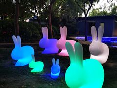 -枫花园汽车电影院(朝阳公园店)
