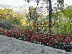 -广州市白云山风景名胜区