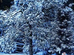 -宁波五龙潭景区