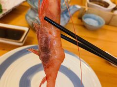 北极甜虾刺身-高木日本料理(静安寺店)