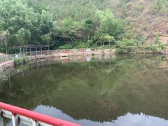 -双新垂钓园
