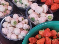 -葑门横街