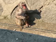 -哈尔滨北方森林动物园