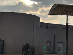 -鄂尔多斯野生动物园