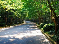 -紫金山山顶公园
