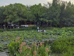 -西溪国家湿地公园