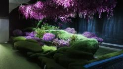 点击看大图 -金海岸婚纱摄影(塘沽店)