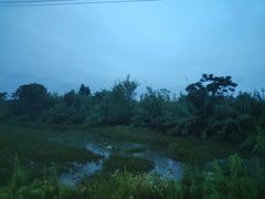 -象山森林公园