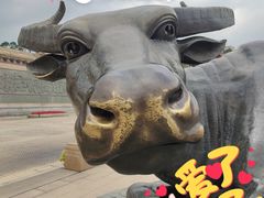 -广东圆玄道观