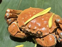 -成隆行·蟹王府(九江路店)