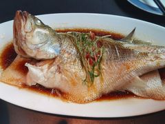 清蒸鲈鱼-凤凰湘语(浦东旗舰店)