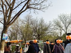 -江苏三台山国家森林公园