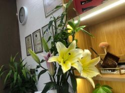 -芳朵美容养生SPA