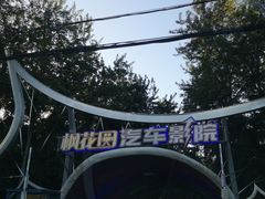 -枫花园汽车电影院(朝阳公园店)