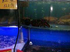 水产区-蔚海之都·象山蒸汽海鲜(仙霞路店)
