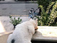 -成记海鲜粥(意大利风情街店)