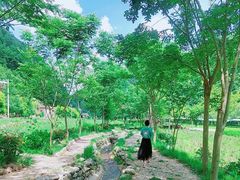 -牛背梁国家森林公园