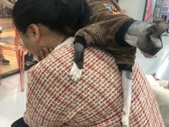 -糯米喵星人·撸猫猫舍咖啡馆(西市场嘉华店)