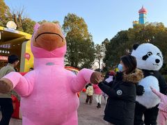 -南京银杏湖乐园