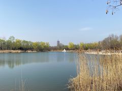 -永定河休闲森林公园