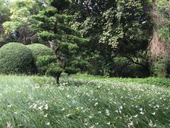 -宋井风景区