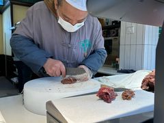 -孙庆海腊牛肉店(大皮院店)