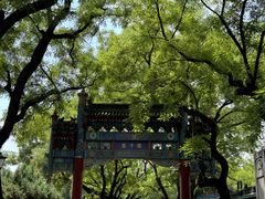-北京国子监胡同