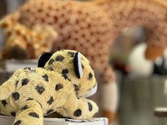 -ZOO COFFEE动物园咖啡(红山森林动物园店)