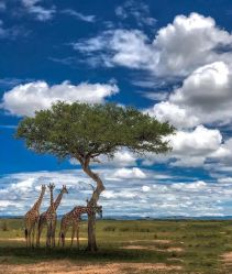 -美肤盾祛痘·问题肌头疗管理中心