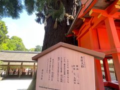 -奈良公园