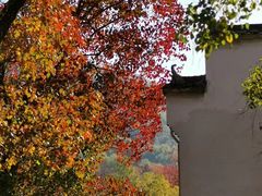 -塔川景区