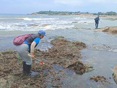 -青岛第三海水浴场